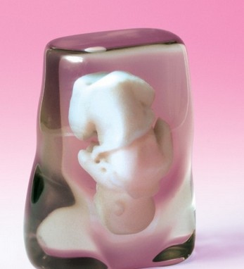 9d0b3985c66b0983c8291e5e464211b6_15841824336667265.jpg 9d0b3985c66b0983c8291e5e464211b6_15841824336667265.jpg